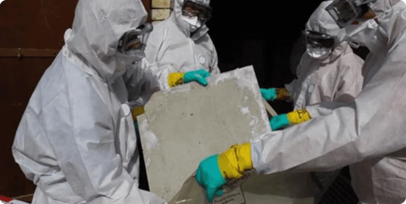 Mold Inspection - damabtechnologies.com